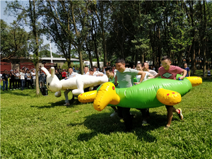 东莞松山湖团建拓展培训项目介绍
—龟兔赛跑—